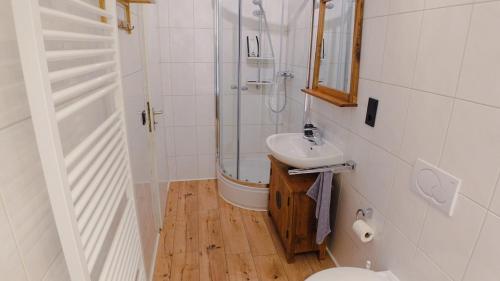 a bathroom with a shower and a sink and a toilet at DoubleRoom - work and stay - shared house - 2floor in Linz am Rhein