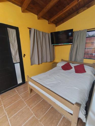 a bedroom with a bed with red pillows on it at Monoambiente in Mar de Ajó