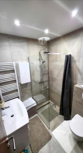 a bathroom with a shower and a toilet and a sink at Kuća za odmor Vista in Slavonski Brod