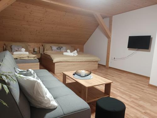 TV a/nebo společenská místnost v ubytování Apartmány Gabriela