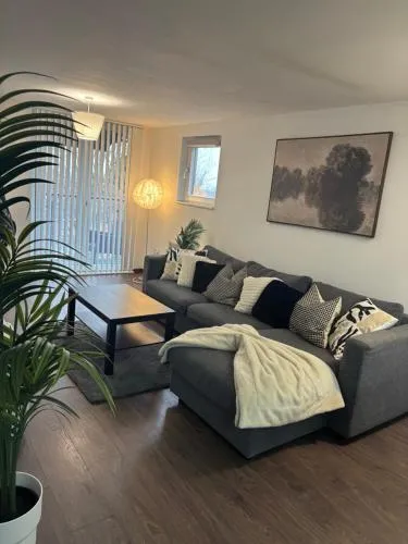 Charming apartment near NEC and Birmingham Airport photo 1
