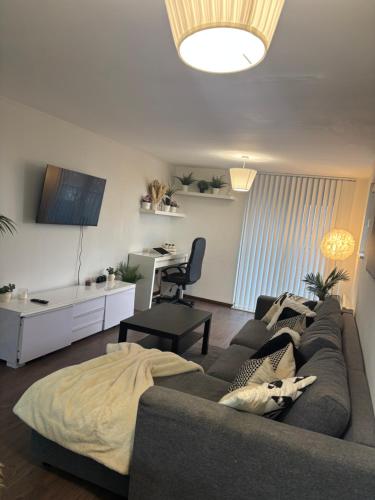 Charming apartment near NEC and Birmingham Airport photo 6