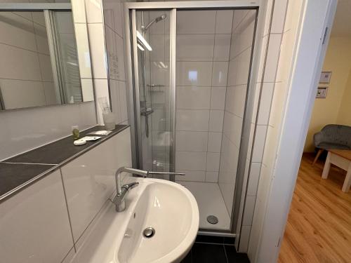 ein Badezimmer mit Waschbecken und Dusche in der Unterkunft Boutique HOTEL am KRANICHSEE in Hahnenklee-Bockswiese