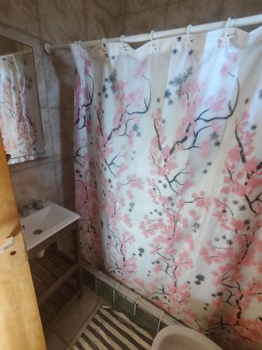 a bathroom with a shower curtain and a sink at Deptos Peumayen Familiar - Parking - Excelente Ubicacion - Full Equipado in Río Colorado
