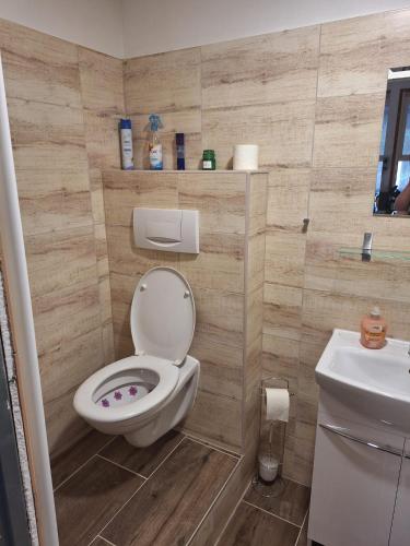 a bathroom with a toilet and a sink at Bungalov Rozarka in Růžová