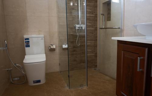 a bathroom with a shower and a toilet and a sink at Ashasha Villa in Negombo