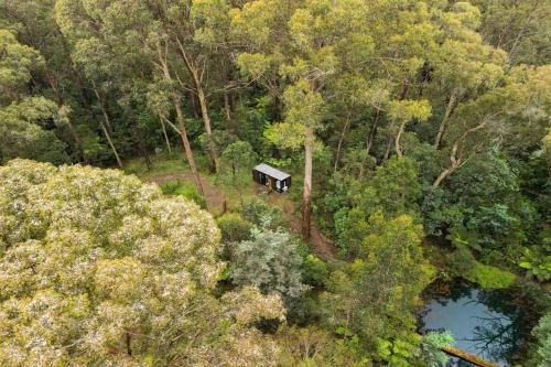 an aerial view of a cabin in the middle of a forest at Quantum Field by Tiny Away in Toolangi