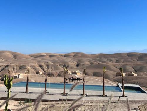 eine Gruppe von Palmen in der Wüste in der Unterkunft Agafay Luxury camp in Marrakesch