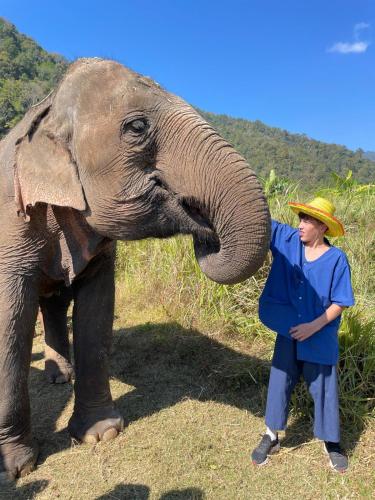 a man wearing a hat standing next to an elephant at DoiLom Farmstay in Ban Muang Kut