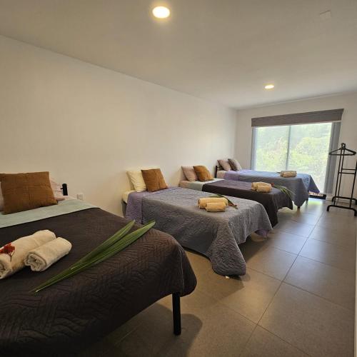 a room with four beds and a couch at Cabañas Teave in Hanga Roa