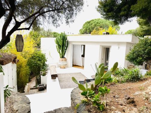 una casa bianca con una pianta nel cortile anteriore di K-Sea Villa Boutique De Luxe à Cassis a Cassis