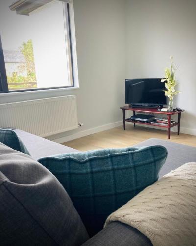 a living room with a couch and a flat screen tv at Quiet Riverside Stopover by the Shannon in Leitrim