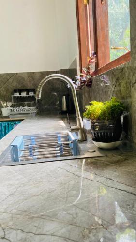 a kitchen sink with a plant sitting on a counter at Happy Haven in Hikkaduwa