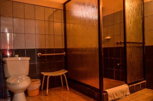 a bathroom with a toilet and a shower and a stool at Hotel La Choza Inn in Fortuna