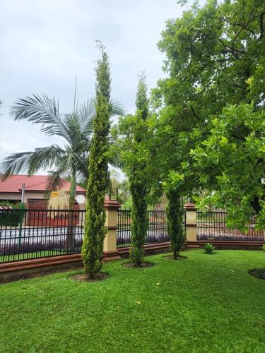 zwei Bäume in einem Garten neben einem Zaun in der Unterkunft Casa Regina in Lusaka