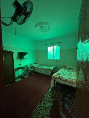 a green room with two beds and a window at Alaraby 2 in Az Zaytīyah
