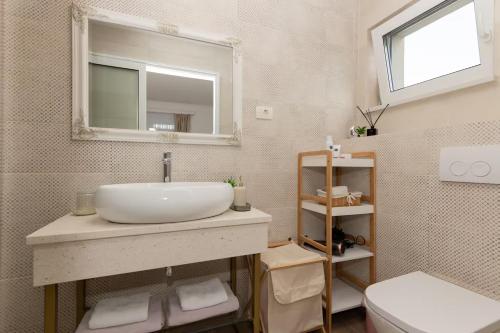 une salle de bains avec lavabo, toilettes et miroir dans l'établissement Villa Viktoria with private pool, barbecue, gym, children's playground, à Krivodol