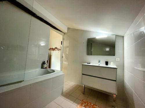 Koupelna v ubytování Les Mirabelles