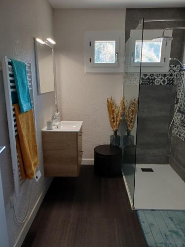 a bathroom with a shower and a sink at Gîte l'Ermitage in Cahors