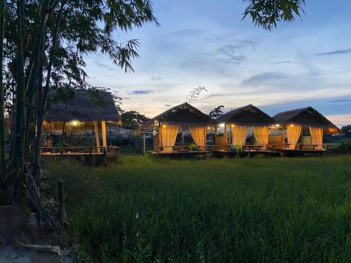 een rij hutten in een veld met verlichting bij OrganicHomeFarmStay in Ban Na Sông