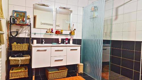 a bathroom with a shower and a sink at Chambre Chez l'habitant "Maïssi" in Sablons