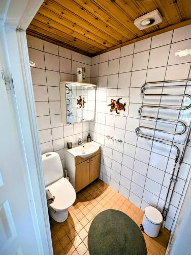 a bathroom with a toilet and a sink at Host Harmony 6 PP Cabin Close to lake in Vittsjö
