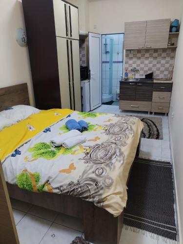 een slaapkamer met een groot bed in een keuken bij TREF 1 in Soko Banja