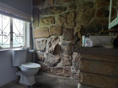 a bathroom with a white cat laying on a stone wall at Springwater Cottages in Ficksburg