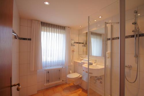 a bathroom with a toilet and a shower and a sink at Parkhotel Waldlust in Häusern