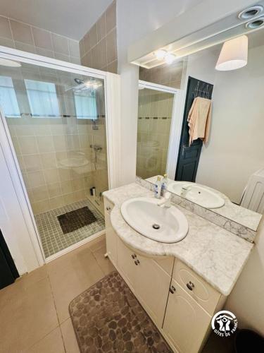 a bathroom with a sink and a shower at Nore & nature in Pradelles-Cabardès