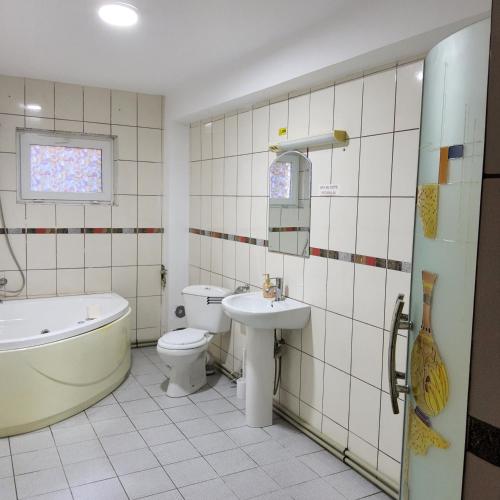 a bathroom with a tub and a toilet and a sink at Conacul de la Dunăre, Eșelnița in Eşelniţa