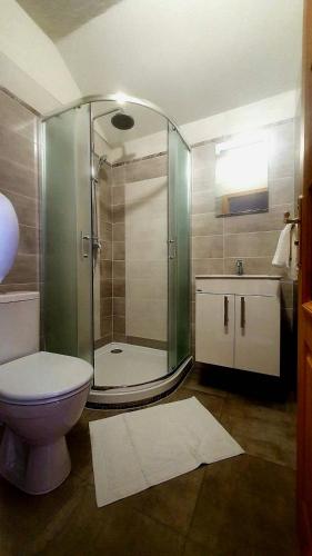 a bathroom with a shower and a toilet and a sink at Penzion rodina in Chornice