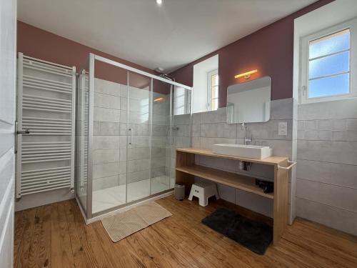 a bathroom with a sink and a shower and a mirror at Prat in Livron