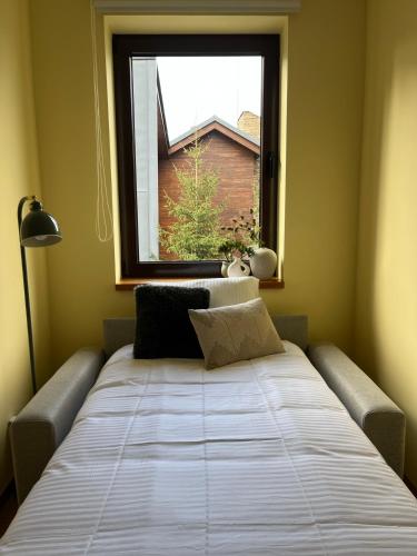 ein großes Bett in einem Zimmer mit Fenster in der Unterkunft Deno Studio by BulgarianHomes in Borowez