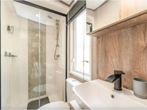 a bathroom with a toilet and a sink and a shower at ScottishHighlands in Boat of Garten