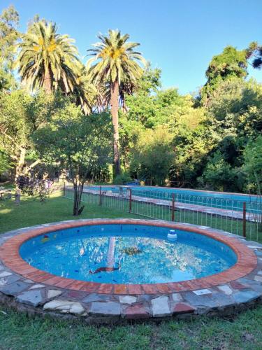 una piscina circolare in un cortile con palme di Casa de Campo Brandsen - Quinta La Mandarina a Brandsen