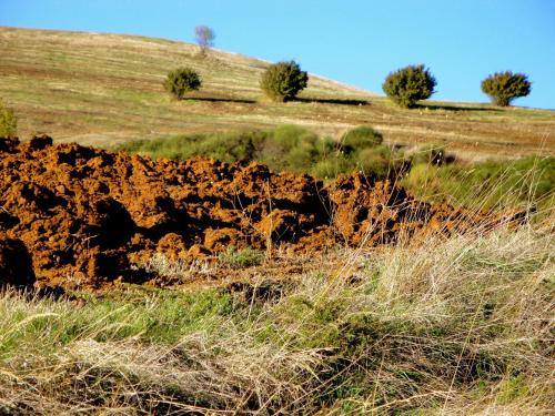 a dirt hillside with trees in a field at Taverna Centomani in Potenza