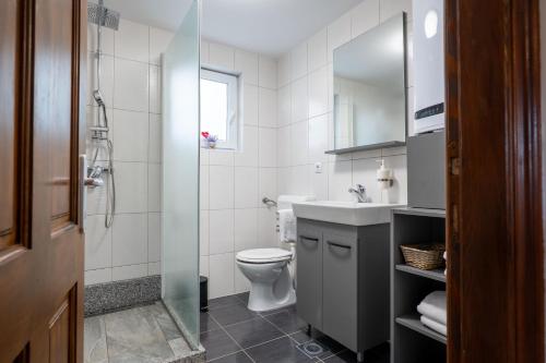 een badkamer met een toilet, een wastafel en een douche bij D.I.M. Holiday House in Seliste Dreznicko