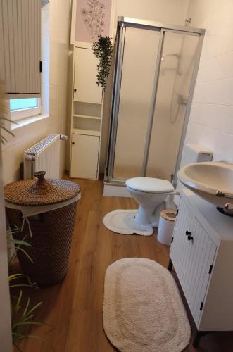 a bathroom with a shower and a toilet and a sink at NordseeNest Varel in Varel
