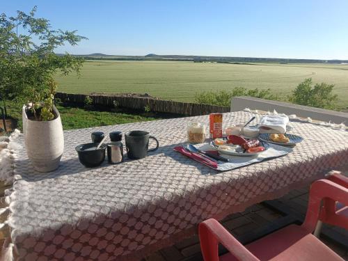 a picnic table with food on it with a view of a field at Leopolds Rest in Prieska