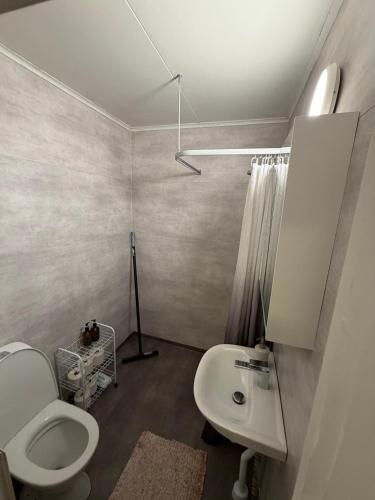 a bathroom with a toilet and a sink at Aurora Apartments in Kiruna