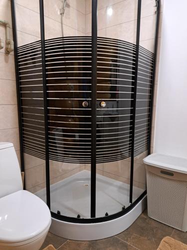 a shower in a bathroom with a toilet at Stream House in Lopushnoye