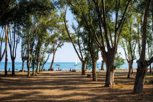 Living4Malaga Nereo Beach Studios photo 6