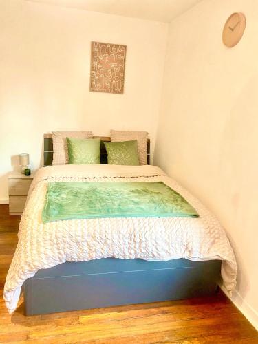 Charming apartment in Nancy Center
