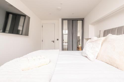 Easter Cosy 4 Bedroom Apartment - Edinburgh photo 20