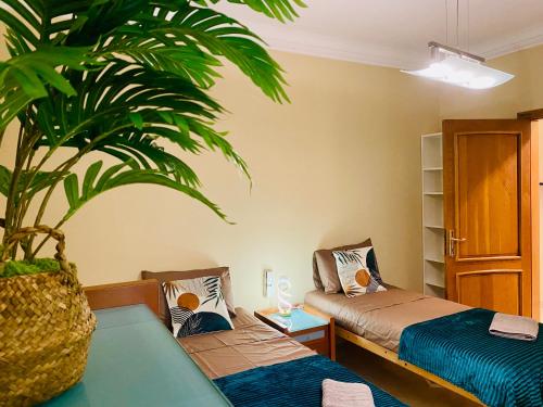 a room with two beds and a potted plant at Breathtaking Valletta Harbour View - Exclusive in Sliema