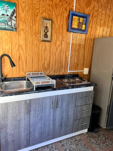 a kitchen with a sink and a counter top at Casa De Piedra Le Petit Chalet in San Clemente