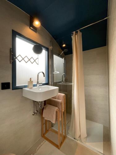 a bathroom with a sink and a window and a shower at Tuiny House Noordwijk in Noordwijk