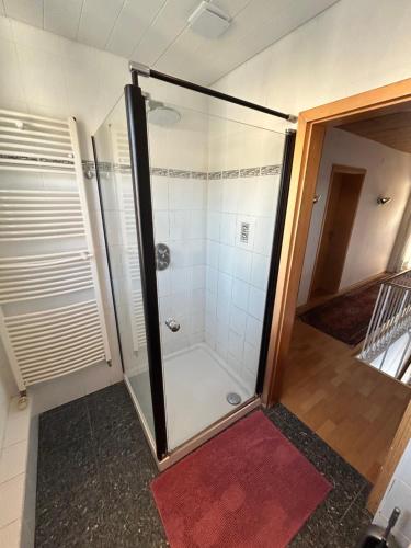 a shower with a glass door in a room at Apartment am Rathaus 3SZ in Rödermark