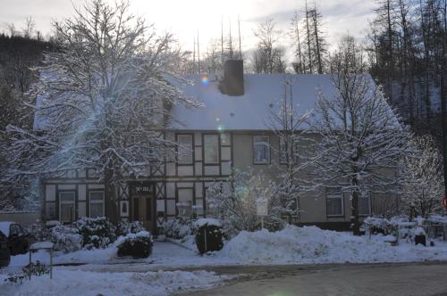 ein schneebedecktes Haus mit Bäumen und Sträuchern in der Unterkunft Pension im Tal der Stille in Treseburg